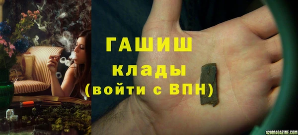 стафф Дмитриев