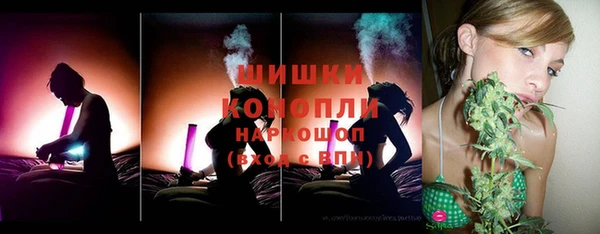 стафф Дмитриев