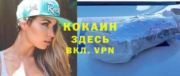 стафф Дмитриев