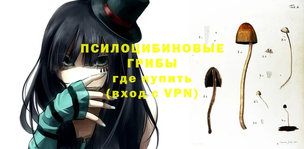 стафф Дмитриев