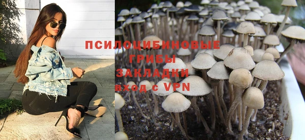 прущая мука Дмитровск