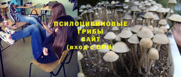 ГАЛЛЮЦИНОГЕННЫЕ ГРИБЫ Дмитров