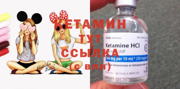 стафф Дмитриев