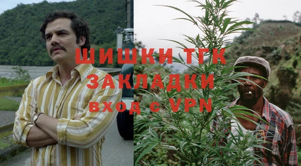 ГАЛЛЮЦИНОГЕННЫЕ ГРИБЫ Дмитров