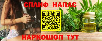 СК Краснодар