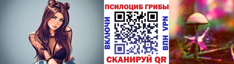 darknet формула  Семилуки  Псилоцибиновые грибы GOLDEN TEACHER 