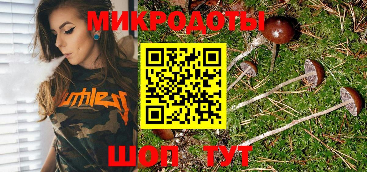 Галлюциногенные грибы мицелий Семилуки